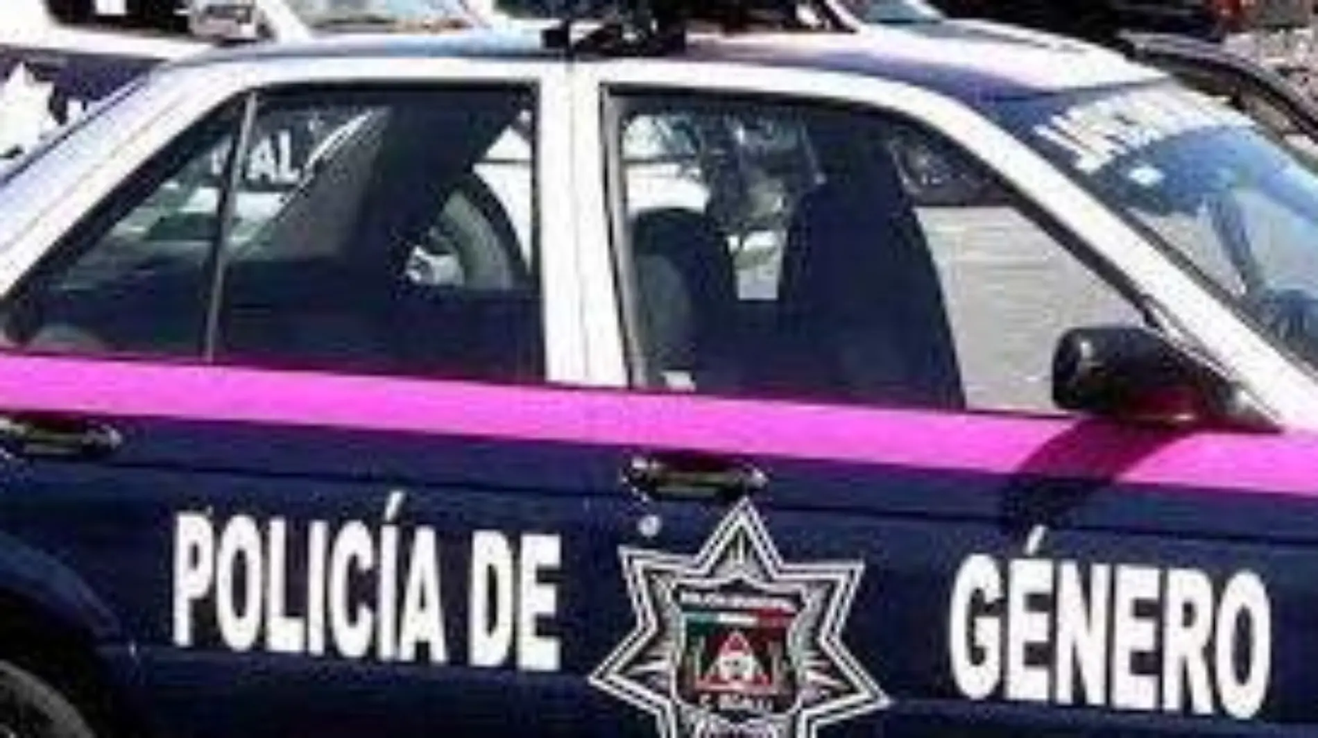 policia de genero